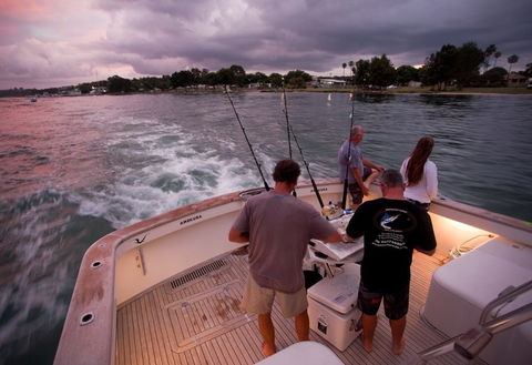 Amokura Charters - Northern Rivers Accommodation 3
