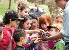 Blackbutt Reserve - Northern Rivers Accommodation 2