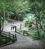Blackbutt Reserve - Northern Rivers Accommodation 3