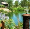 Gone Walkabout Safaris - Northern Rivers Accommodation