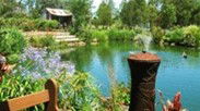 Gone Walkabout Safaris - Northern Rivers Accommodation 0