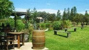 Gone Walkabout Safaris - Northern Rivers Accommodation 2