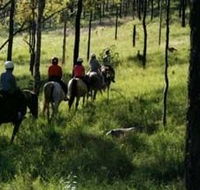 Hunter Valley Horse Riding and Adventures - Northern Rivers Accommodation