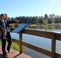 Hunter Wetlands Centre Australia - Northern Rivers Accommodation
