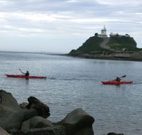 Newcastle Kayak Tours - Northern Rivers Accommodation