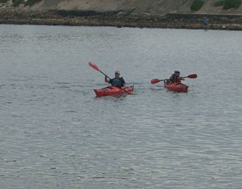 Newcastle Kayak Tours - Northern Rivers Accommodation 4
