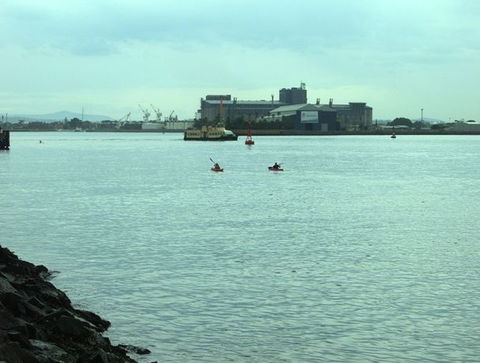 Newcastle Kayak Tours - Northern Rivers Accommodation 5