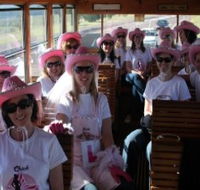 Newcastles Famous Tram - Northern Rivers Accommodation