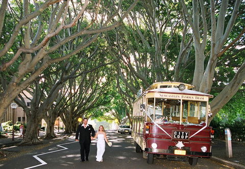Newcastles Famous Tram - Northern Rivers Accommodation 2