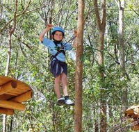 TreeTops Newcastle - Northern Rivers Accommodation