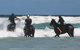 Pegasus Park Equestrian Centre - thumb 0
