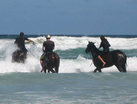 Pegasus Park Equestrian Centre - Northern Rivers Accommodation 0
