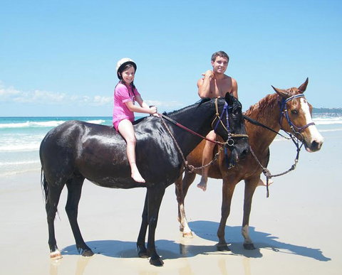 Pegasus Park Equestrian Centre - Northern Rivers Accommodation 1
