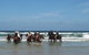 Pegasus Park Equestrian Centre - thumb 2