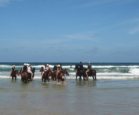Pegasus Park Equestrian Centre - Northern Rivers Accommodation 2