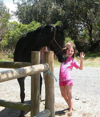 Pegasus Park Equestrian Centre - Northern Rivers Accommodation 3