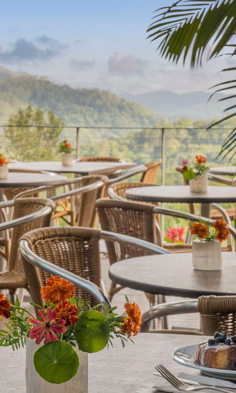 Crystal Castle & Shambhala Gardens - Northern Rivers Accommodation 2