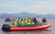Byron Bay Whale Watching - thumb 2