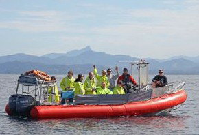 Byron Bay Whale Watching - Northern Rivers Accommodation 2