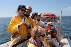 Byron Bay Dolphin Wildlife Tours - Northern Rivers Accommodation 2