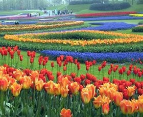 Botanica World Discoveries - Northern Rivers Accommodation 0