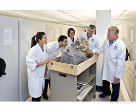 Behind The Scenes Tours At Australian Museum - Northern Rivers Accommodation 0