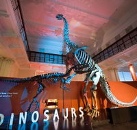 Australian Museum - Northern Rivers Accommodation