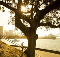 Royal Botanic Gardens and the Domain - Northern Rivers Accommodation