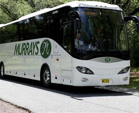 Murrays Coaches - Express Services - Northern Rivers Accommodation 0