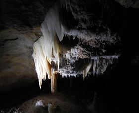 Country Charmâ„¢ Discovery Tours - Northern Rivers Accommodation 1