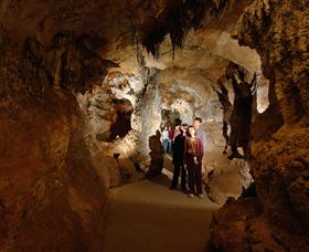 Country Charmâ„¢ Discovery Tours - Northern Rivers Accommodation 3