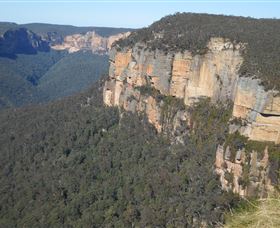 Country Charmâ„¢ Discovery Tours - Northern Rivers Accommodation 4