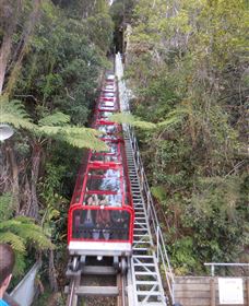 Country Charmâ„¢ Discovery Tours - Northern Rivers Accommodation 6