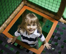 Monkey Mania EQ - Northern Rivers Accommodation 1