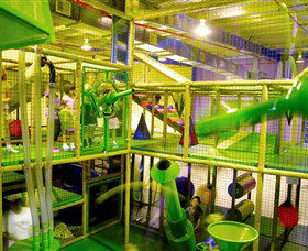 Monkey Mania EQ - Northern Rivers Accommodation 2