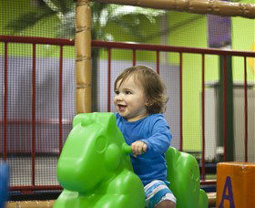 Monkey Mania EQ - Northern Rivers Accommodation 3