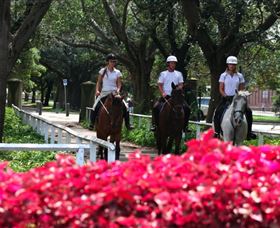 Centennial Parklands Horse Ride - Northern Rivers Accommodation 1