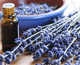 Pure Botanicals - Northern Rivers Accommodation 2