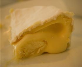 The Cheesemaking Workshop Sydney - Northern Rivers Accommodation 4