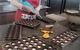 The Sydney Chocolate School - thumb 2