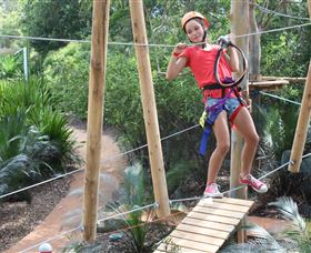 Urban Jungle Adventure Park - Northern Rivers Accommodation 0