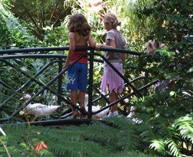 EG Waterhouse National Camellia Garden - Northern Rivers Accommodation 0