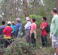 Boronia Tours