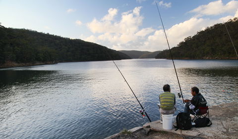 D'Albora Marinas At Akuna Bay - Northern Rivers Accommodation 3