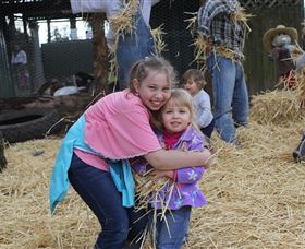 Golden Ridge Animal Farm - Northern Rivers Accommodation 2