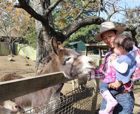 Golden Ridge Animal Farm - Northern Rivers Accommodation 1