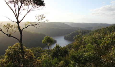 Barnetts Lookout - Northern Rivers Accommodation 1