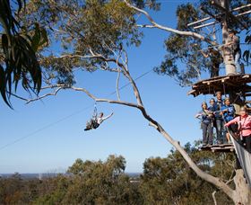 TreeTop Safari - Northern Rivers Accommodation 0