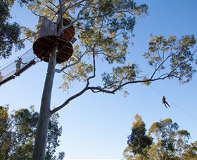 TreeTop Safari - Northern Rivers Accommodation 3