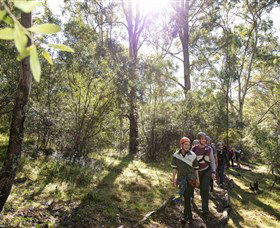 TreeTop Safari - Northern Rivers Accommodation 4